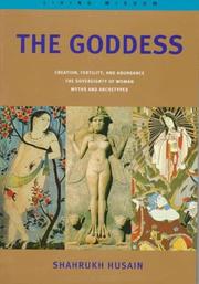 Cover of: The goddess by Shahrukh Husain.