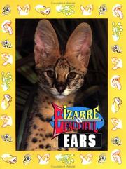 Cover of: Bizarre & Beautiful Ears (Bizarre & Beautiful)