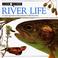 Cover of: River Life (Look Closer)