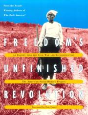 Freedom's unfinished revolution : an inquiry into the Civil War and Reconstruction