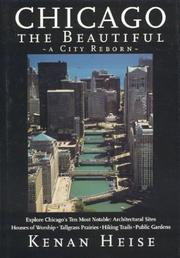 Cover of: Chicago the beautiful: a city reborn