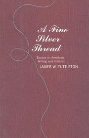 Cover of: A fine silver thread: essays on American writing and criticism