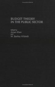 Budget theory in the public sector