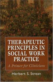 Therapeutic principles in social work practice : a primer for clinicians