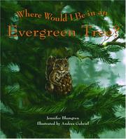 Where would I be in an evergreen tree? by Jennifer Blomgren