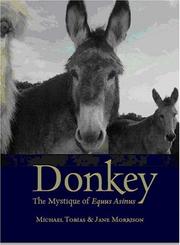 Donkey