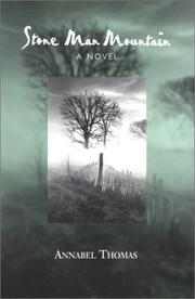 Cover of: Stone Man Mountain: a novel