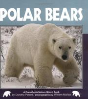 Cover of: Polar Bears (Nature Watch)