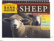 Cover of: Storey's Barn Guide to Sheep (Storeys Barn Guide)