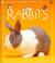 Cover of: Rabbits (First Pets)