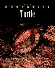 Cover of: The essential turtle