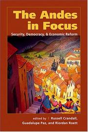 Cover of: The Andes In Focus: Security, Democracy & Economic Reform