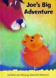 Cover of: Joe's Big Adventure