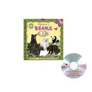 Cover of: Alphabet of Bears (Alphabet Books)