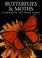 Cover of: Butterflies and Moths