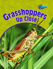 Grasshoppers up close