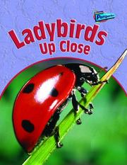 Ladybirds up close