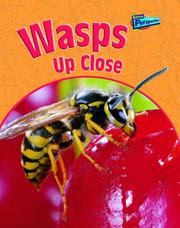 Wasps up close