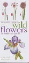 The Mitchell Beazley pocket guide to wild flowers of Britain and Europe