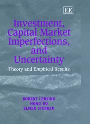 Investment, capital market imperfections, and uncertainty : theory and empirical results