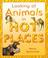 Cover of: In Hot Places (Looking at Animals)