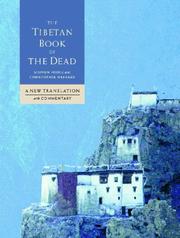 The illustrated Tibetan book of the dead : a new translation with commentary