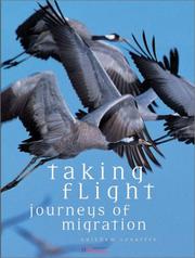 Taking flight : journeys of migration