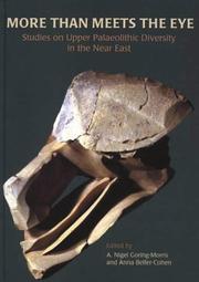 More than meets the eye : studies on Upper Palaeolithic diversity in the Near East