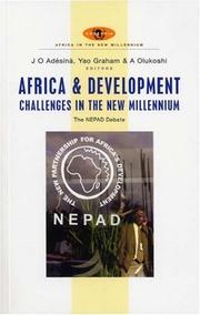 Africa and development challenges in the new millennium : the NEPAD debate