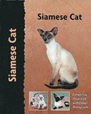 Siamese cat