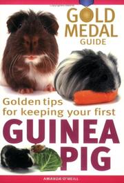 Golden tips for keeping your first guinea pig