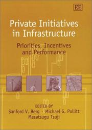 Private initiatives in infrastructure : priorities, incentives, and performance