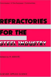 Refractories for the steel industry