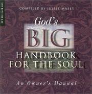 God's big handbook for the soul : an owner's manual