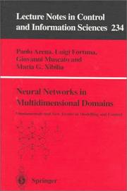 Neural networks in multidimensional domains : fundamentals and new trends in modelling and control