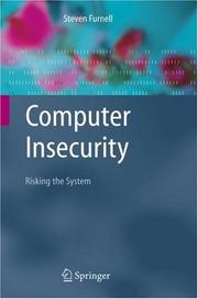 Computer insecurity : risking the system