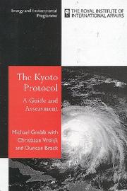 The Kyoto Protocol by Michael Grubb