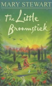 The little broomstick