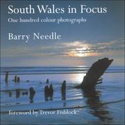 South Wales in focus : [one hundred colour photographs]