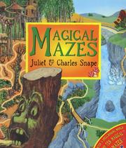 Cover of: Magical Mazes