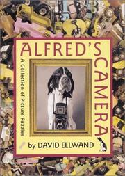 Alfred's camera : a collection of picture puzzles