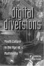 Digital diversions : youth culture in the age of multimedia