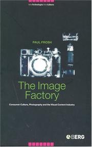 Cover of: The image factory: consumer culture, photography and the visual content industry