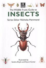 The Wildlife Trust's guide to insects