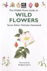 Cover of: The Wildlife Trusts Guide to Wild Flowers (Wildlife Trusts Guide Series)