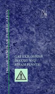 Gas explosions in CCGT and steam plants : prevention and control