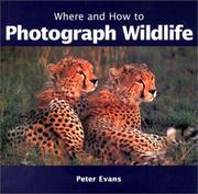 Where and how to photograph wildlife