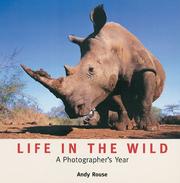 Life in the wild : a photographer's year