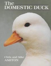 The domestic duck