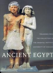 Ancient Egypt : treasures from the collection of the Oriental Institute, University of Chicago
